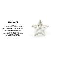 amp japan 16AJK-526 Star Studs Pierce