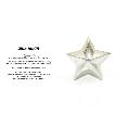 amp japan 16AJK-527 Big Star Studs Pierce