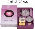 ڥɥ LOTUS GRACE(쥤)